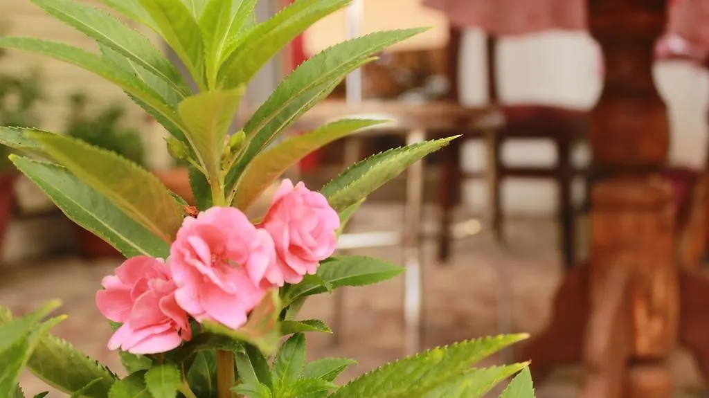 Nanni Backpackers hostel Alappuzha