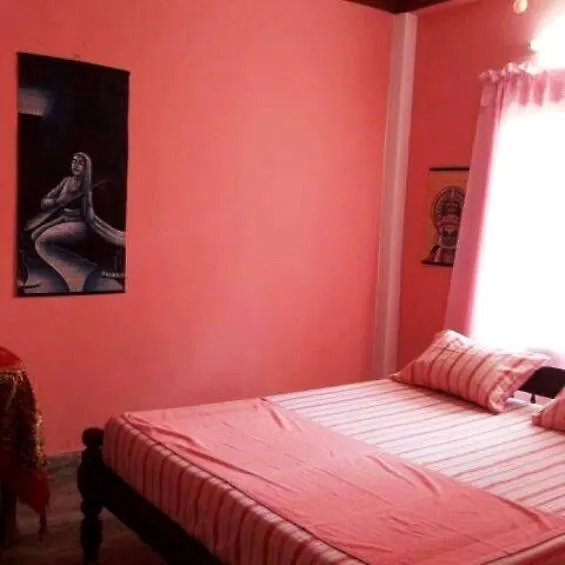 Nanni Backpackers hostel Alappuzha 0*,